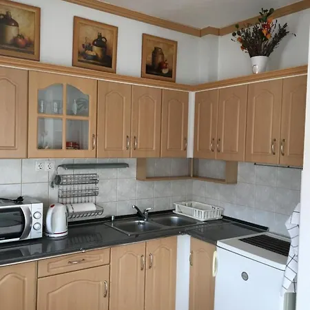 Mavrikiy Apartament